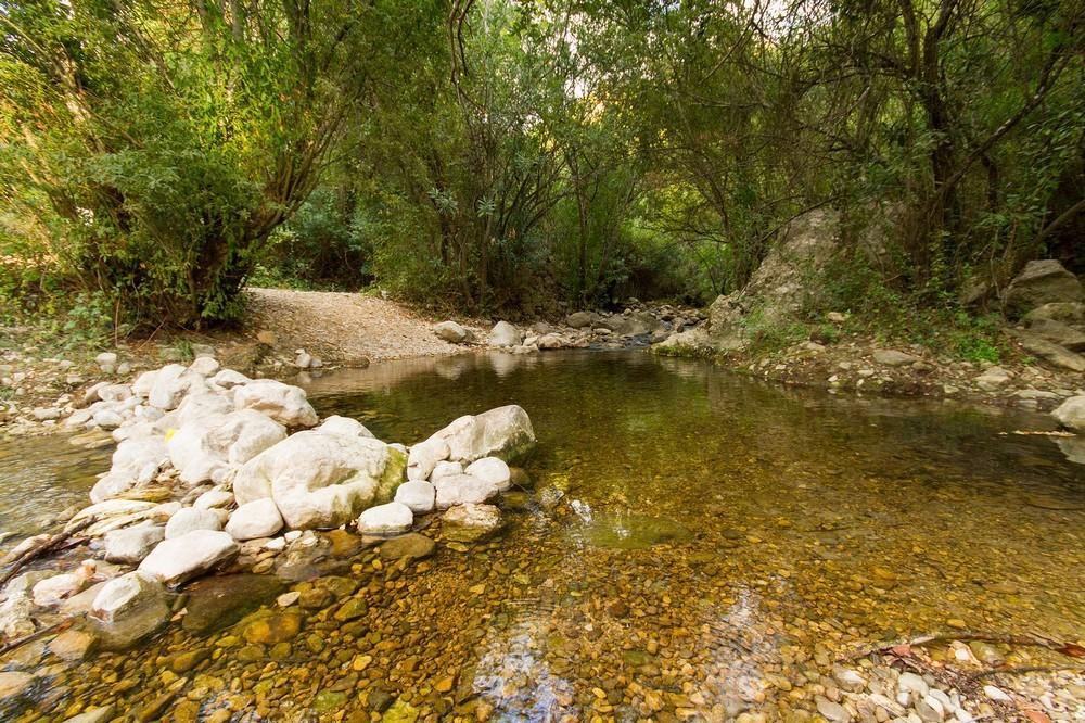 Finca El Huertezuelo El Bosque Buitenkant foto