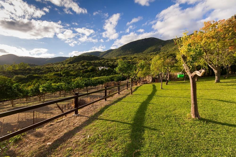 Finca El Huertezuelo El Bosque Buitenkant foto