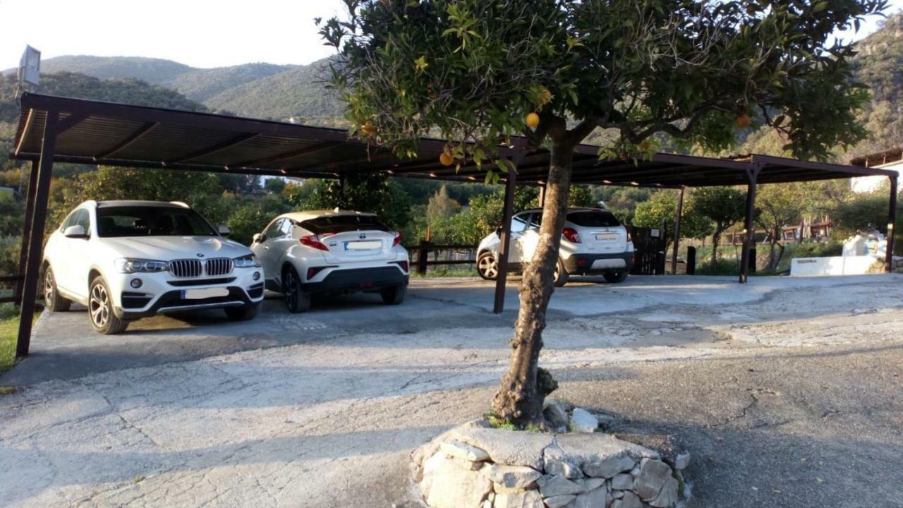 Finca El Huertezuelo El Bosque Buitenkant foto